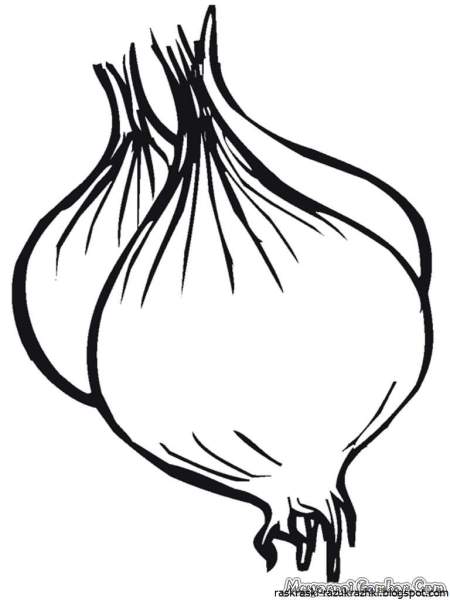 Лук раскраска