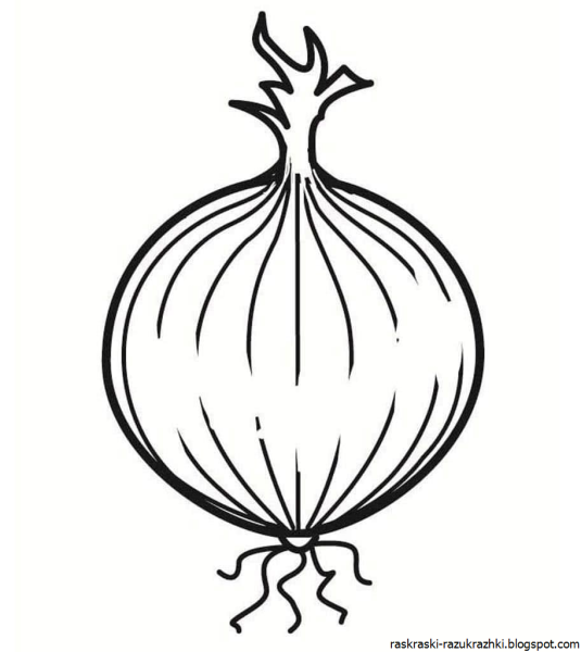 Лук поэтапное рисование