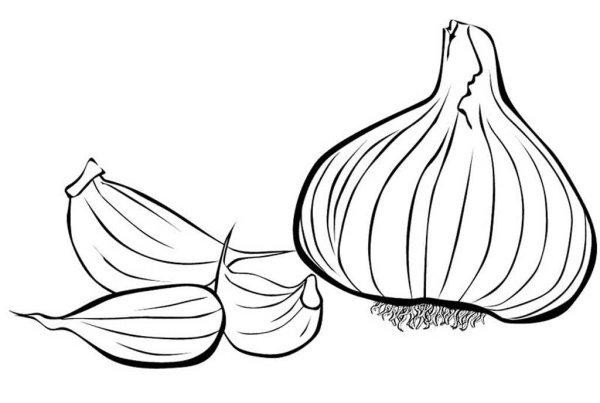 Лук нарисовать красками