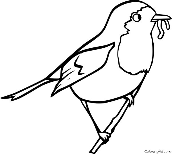 Поэтапное рисование птиц