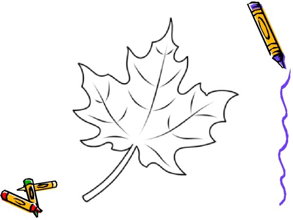 Кленовый лист рисунок
