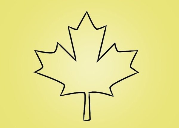 Лист клена карандашом