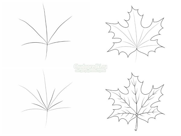 Лист клена поэтапное рисование