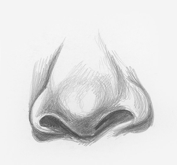 Нос карандашом