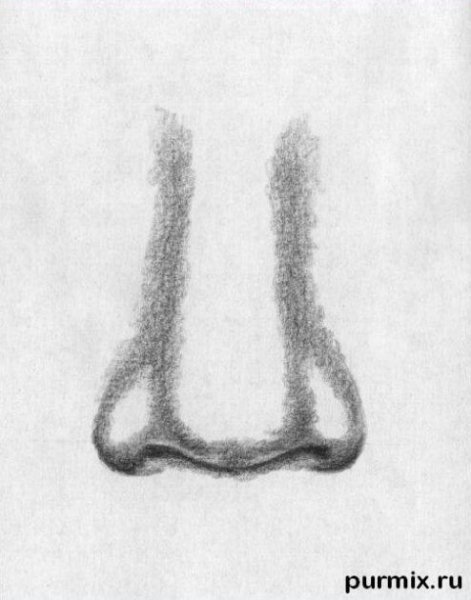 Нос человека рисунок