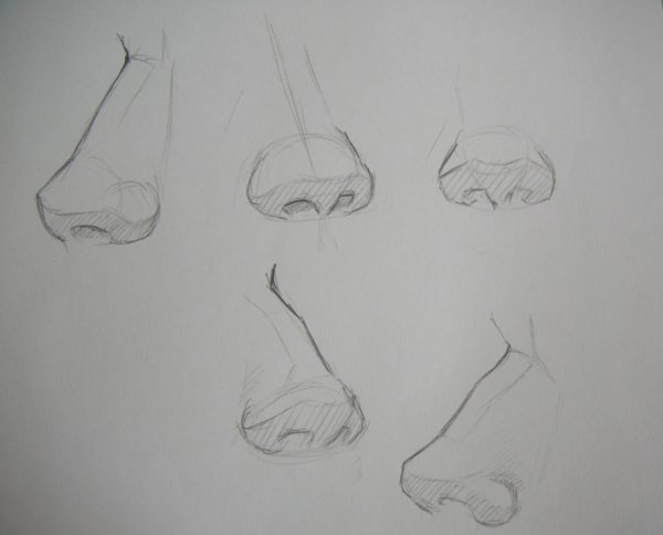 Нос для срисовки