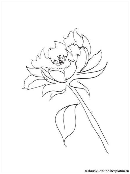 Бутон пиона трафарет