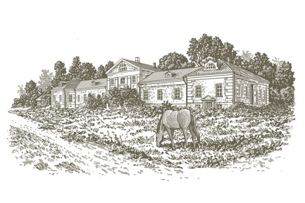 Имение Ясная Поляна Толстого