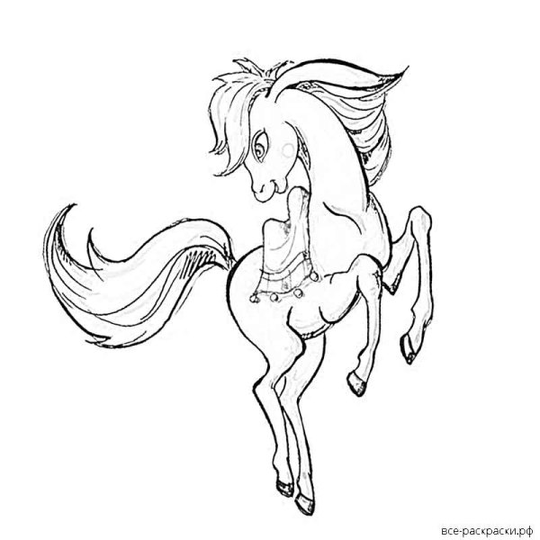 Сивка бурка раскраска для детей