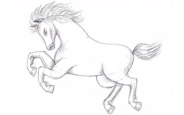 Сивка-бурка. Раскраски