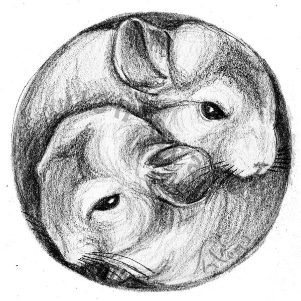 Рисунки милых животных