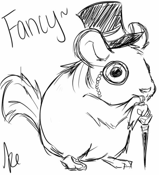 Зарисовки шиншилл