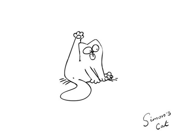 Кот Саймон вылизывается