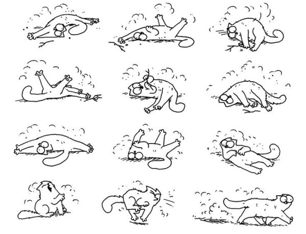 Кот лежит на спине рисунок