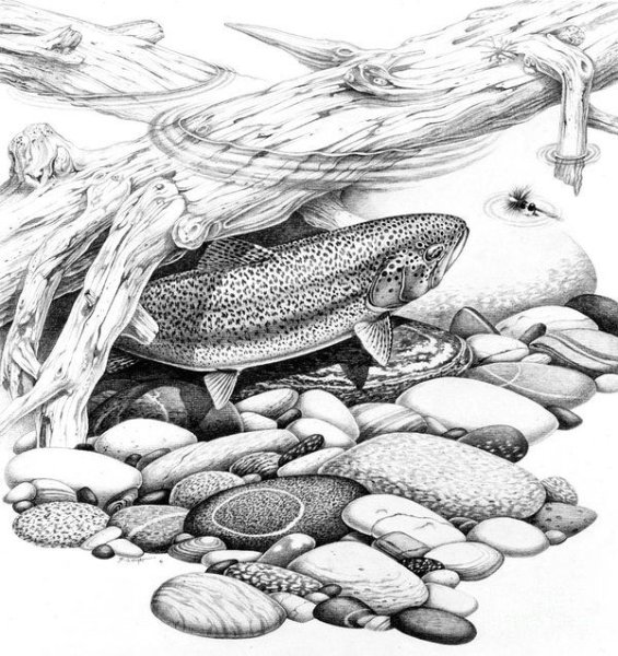 Эскизы для выжигания по дереву рыбалка