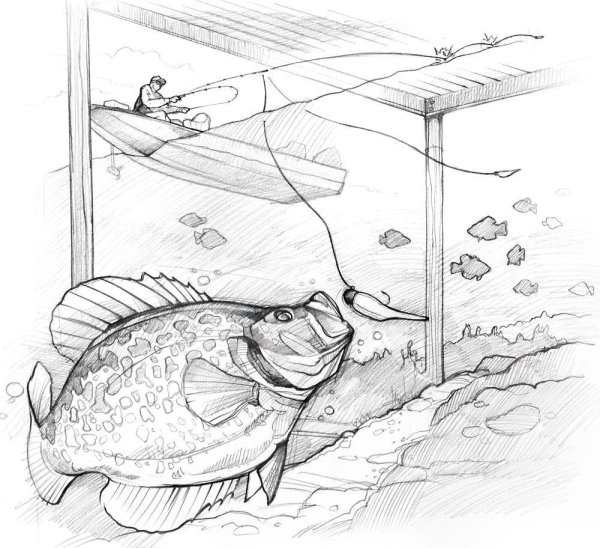 Графический рисунок рыбалки