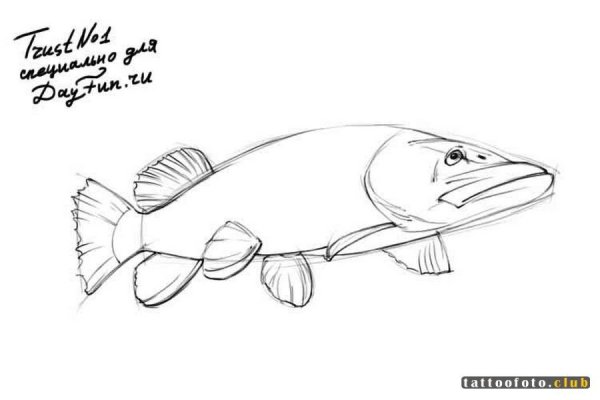 Щука карандаш