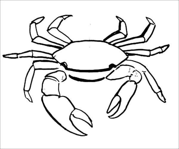 Краб раскраска для детей