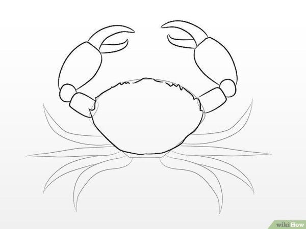 Нарисовать краба карандашом