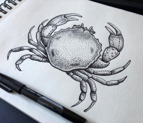 Краб эскиз
