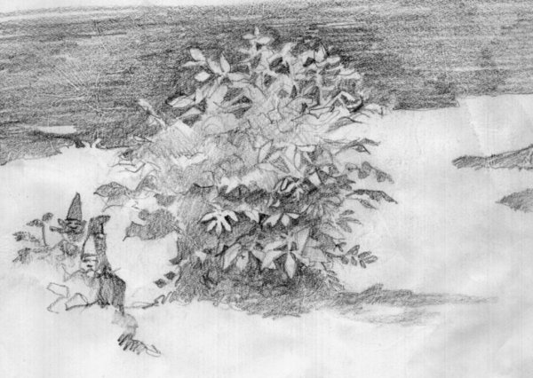 Картина куста карандашом