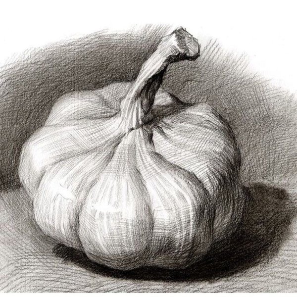 Фрукты карандашом