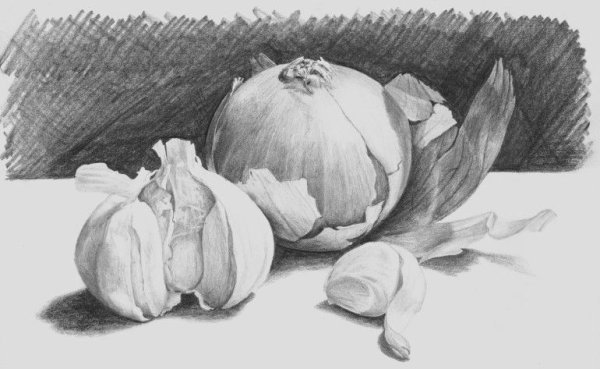 Натюрморт карандашом