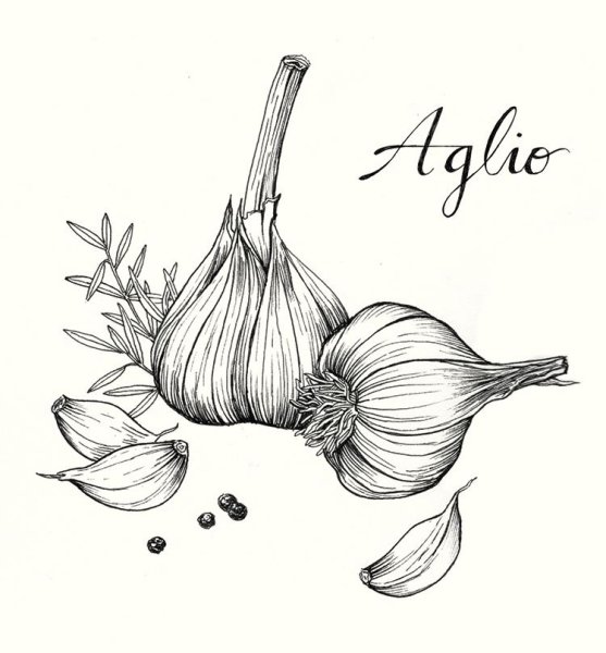 Зарисовки карандашом фрукты