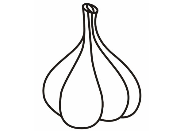 Чеснок Академический рисунок