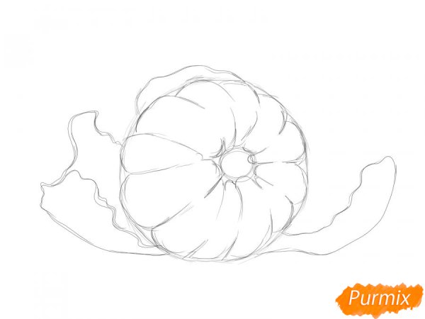 Рисунки карандашом срисовать мандарин