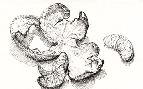 Раскраска апельсин и мандарин