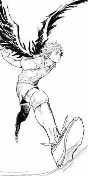 Хината шоё черно белый полет