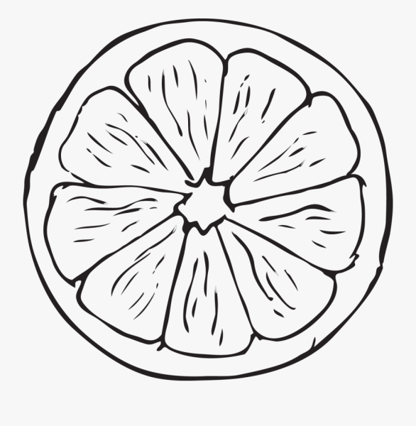 Мандарин для раскрашивания