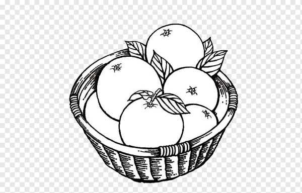 Мандарин раскраска