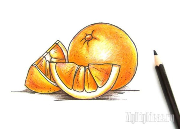 Мандарин графический рисунок