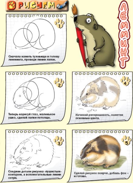 Как нарисовать лемминга