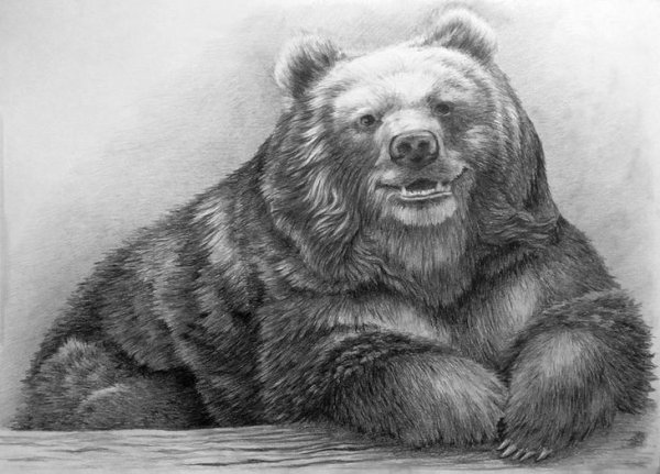 Медвежонок рисунок