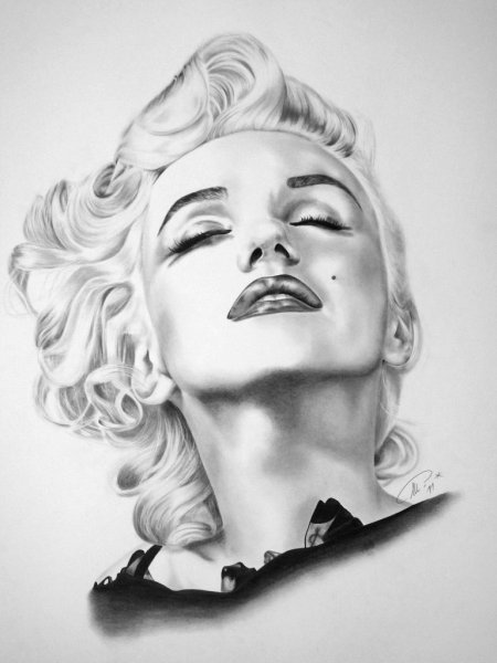 Мерлини моонро рисунок