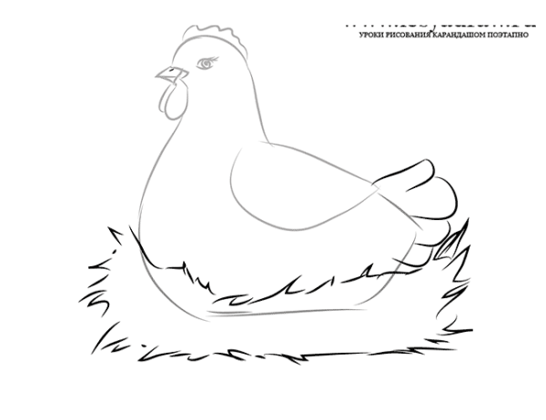 Курочка рисунок