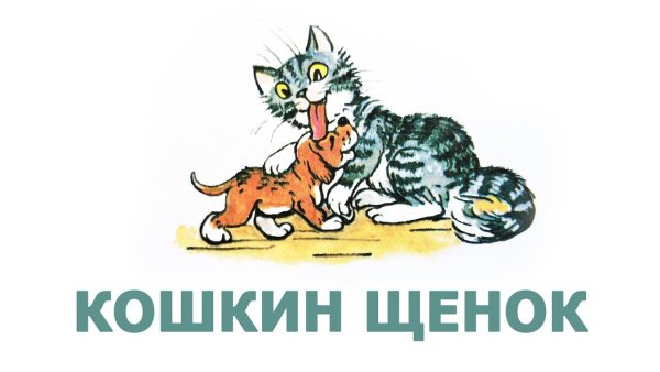 Кошки и собаки. Раскраска