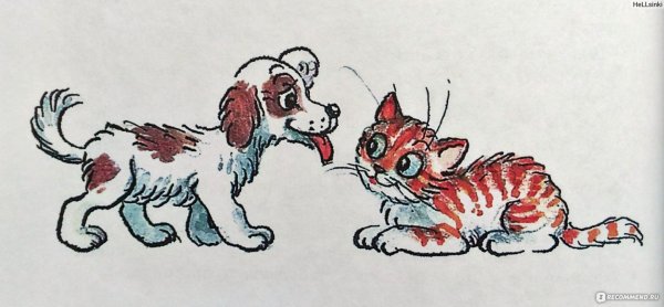 Раскраски для девочек собачки