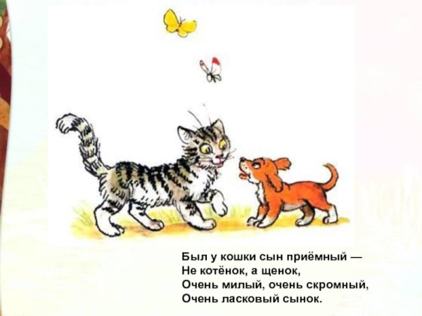 Кошки и собаки. Раскраска