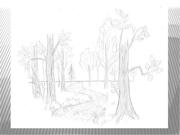 Природа России рисунок карандашом