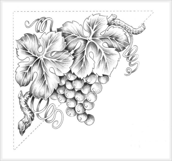 Ветка винограда орнамент