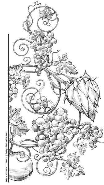 Виноградная лоза скетч