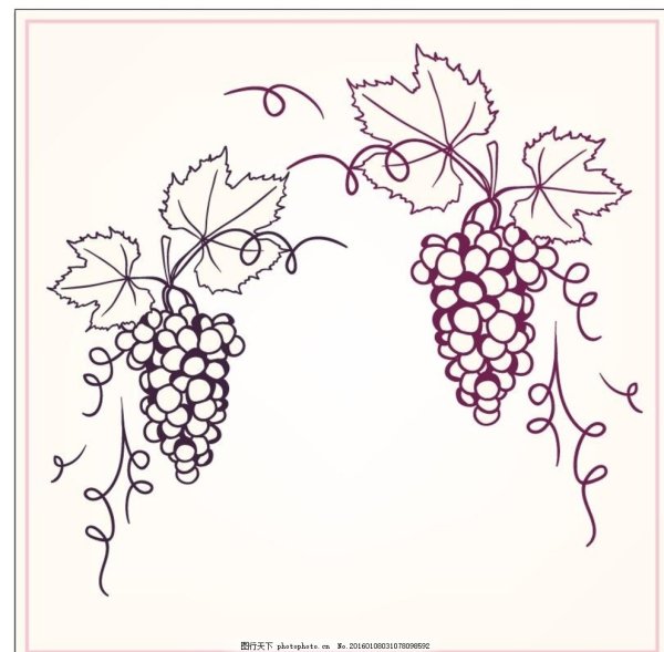 Виноградная лоза линогравюра