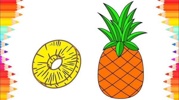 Нарисовать ананас поэтапно