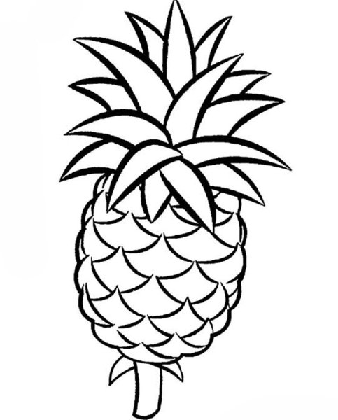 Поэтапное рисование ананаса