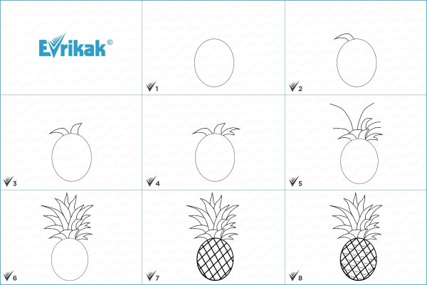 Рисунок ананаса для срисовки