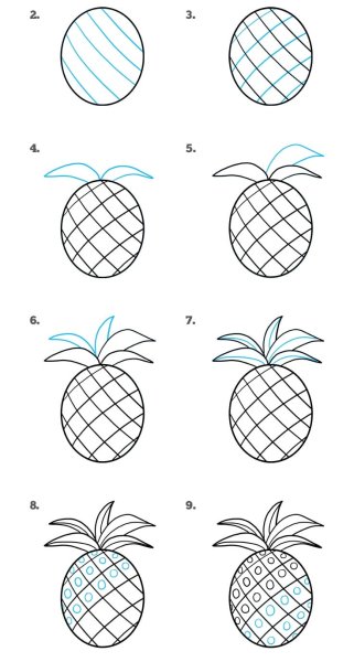 Поэтапное рисование ананаса